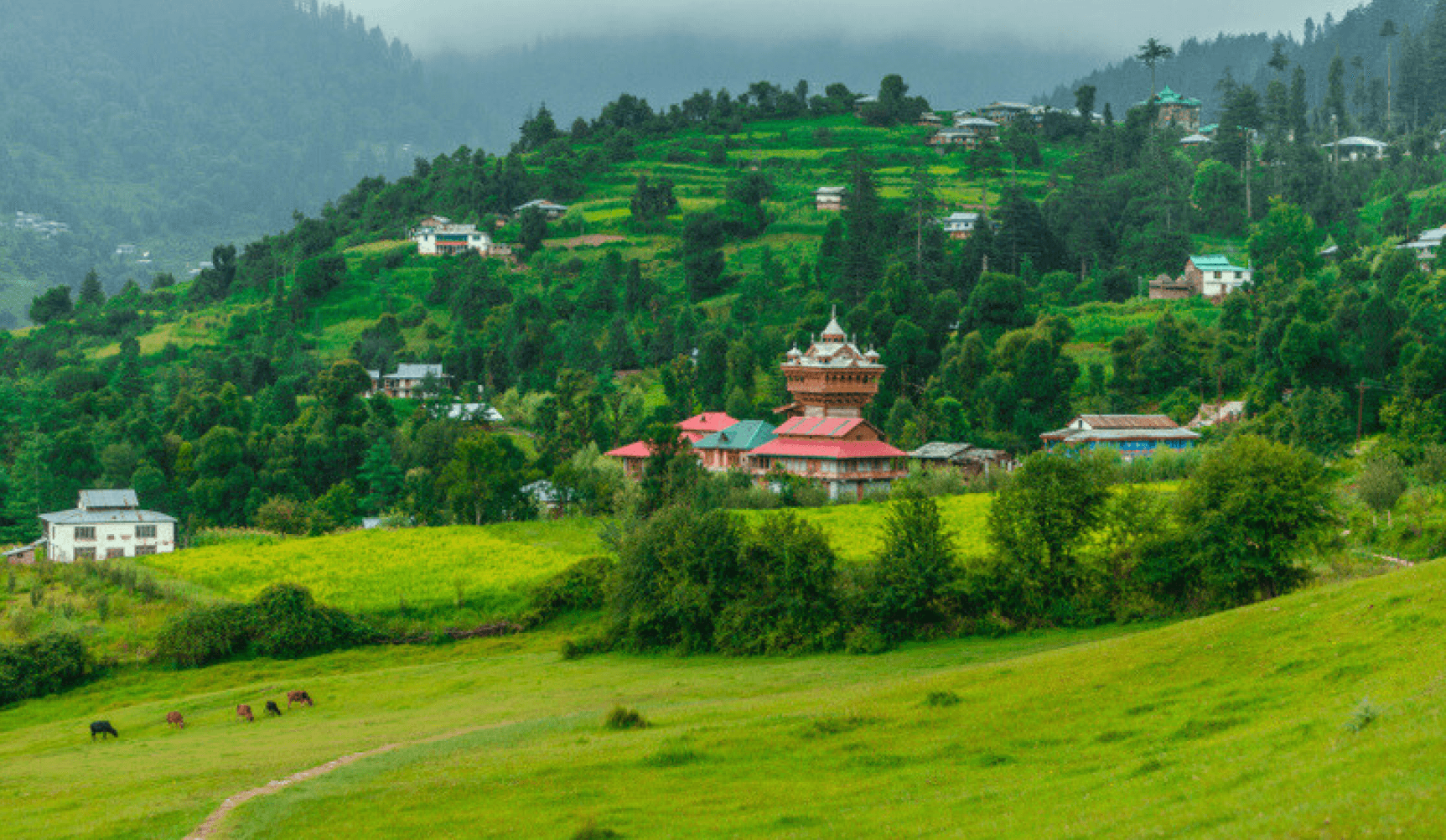 Jibhi Jalori - Tirthan Valley - Image 4